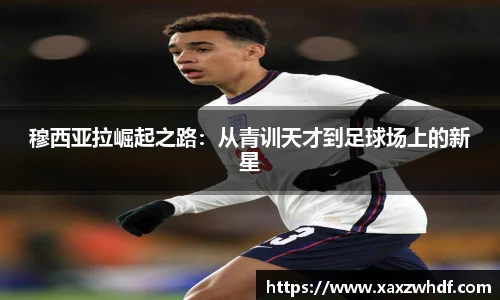 k1体育官网